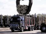 Volvo FH16 Timber Truck 1993 года